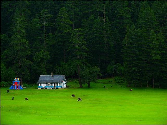 Traveltoexplore Kullu Package